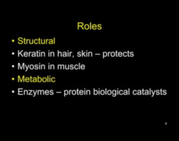 Nutrient Catalysts: The Powerhouses of Nutrition Biochemistry