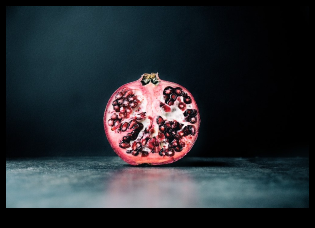 Minimalist Marvels: Mastering Simplicity in Photography