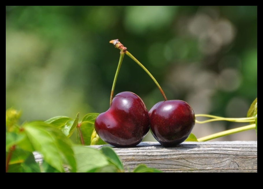 Δημιουργικές αντιθέσεις: Τεχνικές για την έμφαση στις οπτικές διαφορές στη φωτογραφία