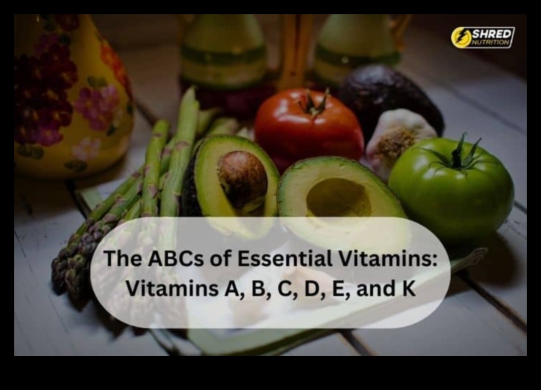 The ABCs of Nutrients: A Beginner's Guide to Wellness