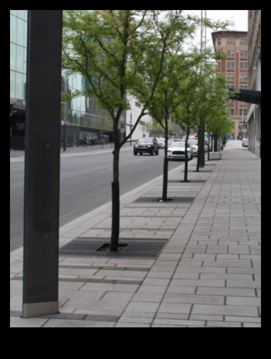 Pavement Perfection: Mastering Street Style Sophistication