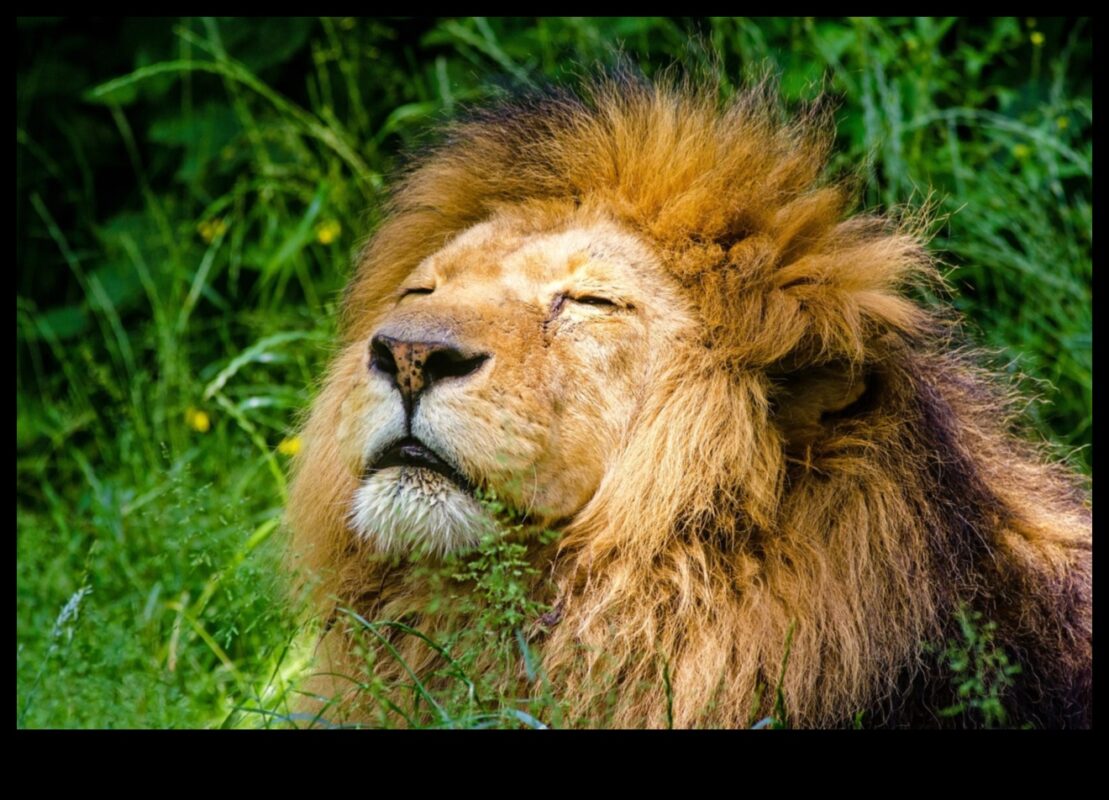 Aperture Alchemy: Ξεκλείδωμα δημιουργικότητας με εξειδικευμένη εκπαίδευση φωτογραφίας