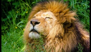 Aperture Alchemy: Ξεκλείδωμα δημιουργικότητας με εξειδικευμένη εκπαίδευση φωτογραφίας