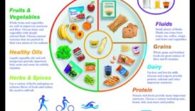 The Golden Years Plate: Navigating Nutritional Needs in Geriatric Nutrition