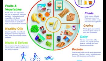 The Golden Years Plate: Navigating Nutritional Needs in Geriatric Nutrition