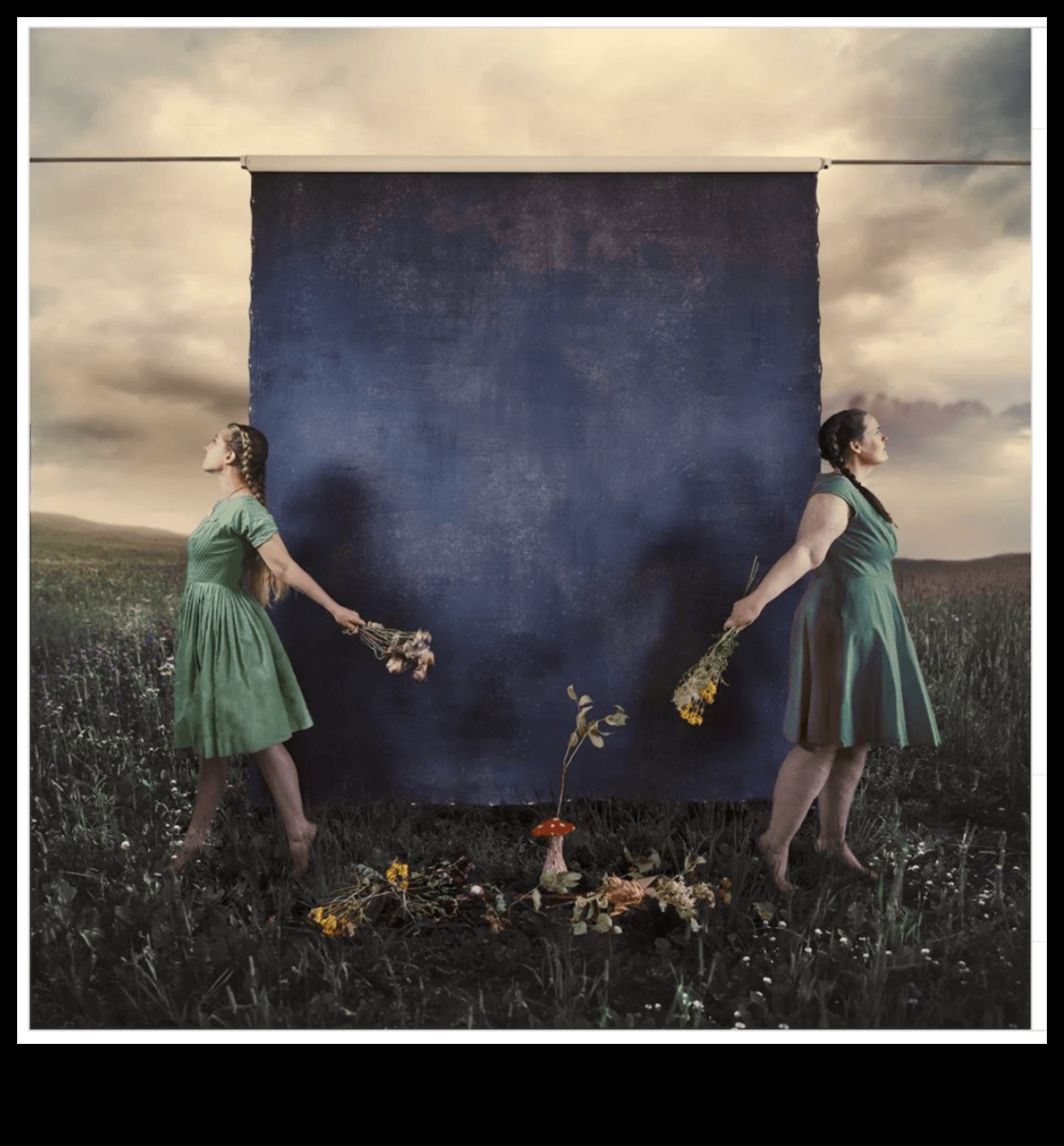 Visual Brilliance: Transforming Art through Expert Photography Education