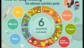 Απαραίτητα θρεπτικά συστατικά: Ένας ολοκληρωμένος οδηγός για την υγεία