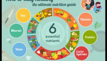 Απαραίτητα θρεπτικά συστατικά: Ένας ολοκληρωμένος οδηγός για την υγεία