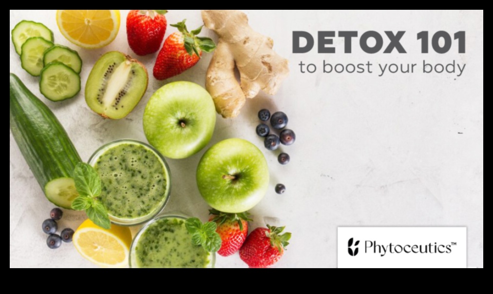 Essential Antioxidants 101: A Beginner's Guide to Well-Being