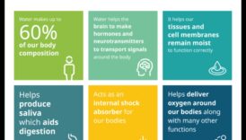 Θρέψη πέρα ​​από τη γεύση: Η σημασία της επαρκής ενυδάτωσης